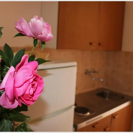 Juras Apartment Rogoznica (Sibenik-Knin)